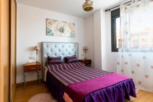 een slaapkamer met een groot bed en een paarse deken bij Dreams Almería Center in Almería