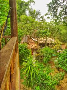 a view of a garden with a house in the background at Pousada Fênix in Pirenópolis