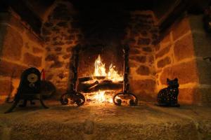 un gatto nero seduto di fronte a un camino di KERBELEG, ferme-manoir du XVè siècle, chambres grand confort a Riec-sur-Bélon