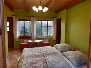 1 dormitorio con paredes verdes, 1 cama y ventana en Agroturystyka Tam Gdzie Sosny, en Ścinawka Dolna