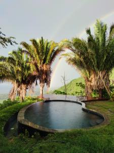 a pool with palm trees and a rainbow in the background at Finca Cuipo in Buritaca