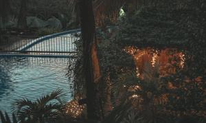 Bazén v ubytování La Vie Adventure Trails nebo v jeho okolí