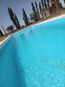 a large blue swimming pool with trees in the background at Cabañas de la bodega Romano-Pin in Albardón