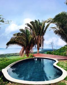 a swimming pool with two palm trees and the ocean at Finca Cuipo in Buritaca