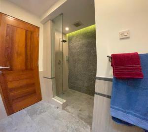 uma casa de banho com um chuveiro e uma porta de vidro em Villa casa shanti deluxe em Lovina