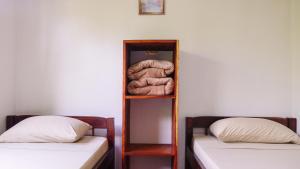 a book shelf with two beds in a room at HOUSE CATTLEYA monteverde in Monteverde Costa Rica