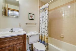 a bathroom with a toilet and a sink and a shower at Sunburst in Killington
