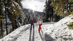 Hotel Edelweiss talvel