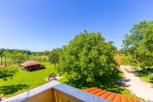 Zahrada ubytování Holiday Home Grande