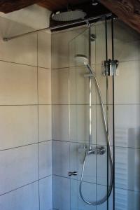 La salle de bains est pourvue d'une douche avec une porte en verre. dans l'établissement Schloss-Muehlen, à Horb am Neckar