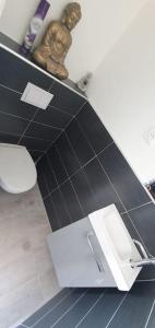 a bathroom with a black counter top and a toilet at Studio Provence in Istres