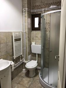 een badkamer met een toilet, een wastafel en een douche bij Pensiunea Păstrăvul de Aur in Palanca