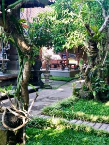 un jardín con un montón de árboles y plantas en The Hidden Bali Inn, en Ubud