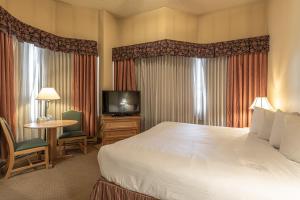 um quarto de hotel com uma cama e uma televisão em Cozy Pet-Friendly King Studio in Mt, Crested Butte condo em Crested Butte