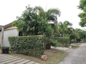 Zahrada ubytování Klangsuan Resort กลางสวน รีสอร์ท แกลง