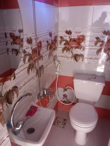a small bathroom with a toilet and a sink at Roma House in Aswan