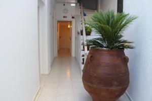 Fotografia z galérie ubytovania Carolina Apartments Crete v destinácii Agia Pelagia