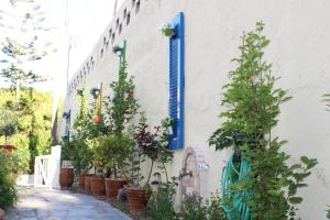 Vonkajšia záhrada v ubytovaní Carolina Apartments Crete