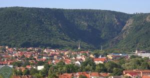 a small town in front of a mountain at Ferienwohnung Kahlenberg in Thale