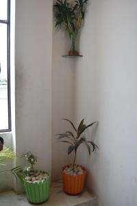 Gallery image of Thakur Boutique Hotel in Udaipur