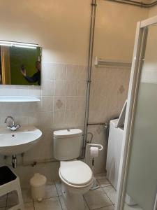 a man taking a picture of a bathroom with a toilet and sink at Gites Les Pins et Les Bruyères in Wangenbourg +36 photos
