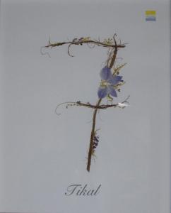 una flor azul en una rama en el cielo en La Posada del Tiétar, en Santa Maria del Tietar