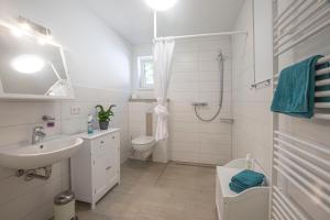 e bagno con lavandino, servizi igienici e doccia. di Hirtenhaus 28b Erdgeschoss a Chorin