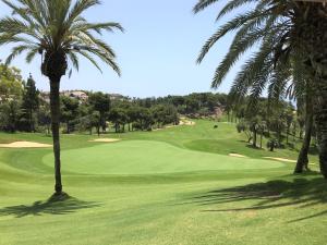 Golf pri apartmáne alebo okolí
