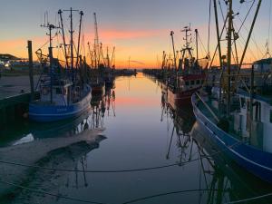 a group of boats docked in a harbor at sunset at De Tünn in Spieka-Neufeld