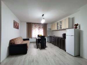 a kitchen and living room with a couch and a refrigerator at Mario Apartament regim hotelier in Reşiţa