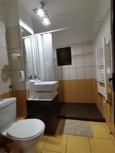 y baño con aseo y lavamanos. en Mario Apartament regim hotelier en Reşiţa