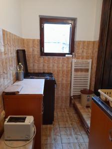 Afbeelding uit fotogalerij van Casuta Maria Alexandra in Călimăneşti