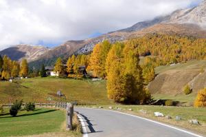 Príroda v okolí apartmánu
