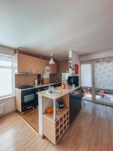 a kitchen with a sink and a counter top at Sebiana in Buşteni