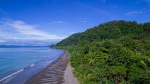 una vista aerea di una spiaggia con alberi e l'oceano di Dolphin Quest Costa Rica a Piedras Blancas