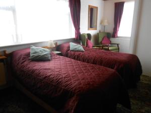 Billede fra billedgalleriet på Dwy Olwyn i Dolgellau