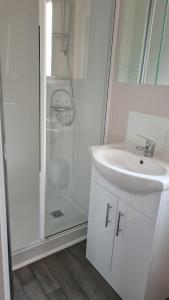 Vonios kambarys apgyvendinimo įstaigoje Trossachs Holiday Park