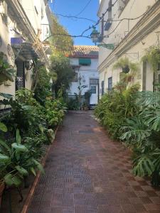 een steeg tussen twee gebouwen met planten bij Charming House in Triana,best City View from Patio in Sevilla