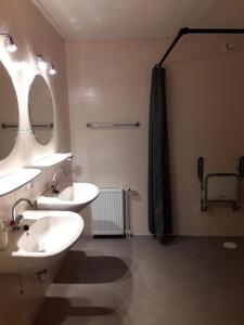 ホルウェルトにあるDe Groote Medwertのバスルーム(シンク2台、シャワー付)