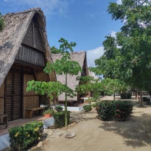 une petite cabane avec un arbre en face dans l'établissement Playa Kai Glamping, à La Punta de los Remedios