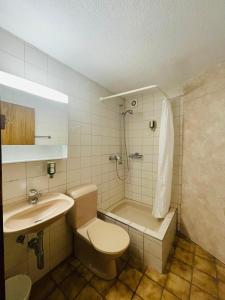 a bathroom with a toilet and a sink and a shower at Linda Apartment 33 in Interlaken