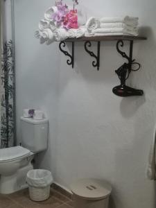 Łazienka w obiekcie Casita Rural con Jacuzzi climatizado.