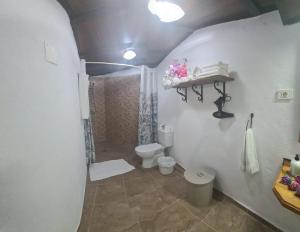 Łazienka w obiekcie Casita Rural con Jacuzzi climatizado.