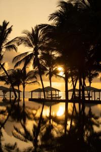 Billionaire Resort & Retreat Malindi في ماليندي: غروب الشمس على الشاطئ مع أشجار النخيل والمظلات
