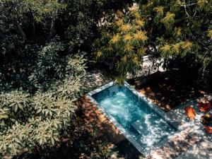 una vista aérea de una piscina en un jardín con árboles en SITIO VILLA DA MATA en São Miguel dos Milagres