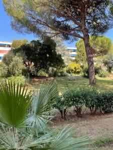 弗雷瑞斯Frejus Plage - 50m2 au calme, tout à pieds的一座公园,里面种着大树和一些植物