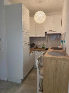 a kitchen with a white refrigerator and a counter at Jarun Lake in Zagreb