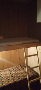 - un lit superposé avec une table et un lit gmaxwell gmaxwell gmaxwell dans l'établissement Lago Rotondo Ski House, à Mezzana
