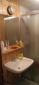 a bathroom with a sink and a shower and a mirror at Lago Rotondo Ski House in Mezzana