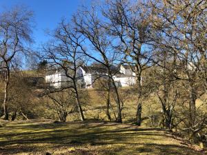 una casa en la cima de una colina con árboles en Ferienhaus Rehblick, en Rockeskyll 21 fotos más